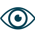 vision (1) vision (1)